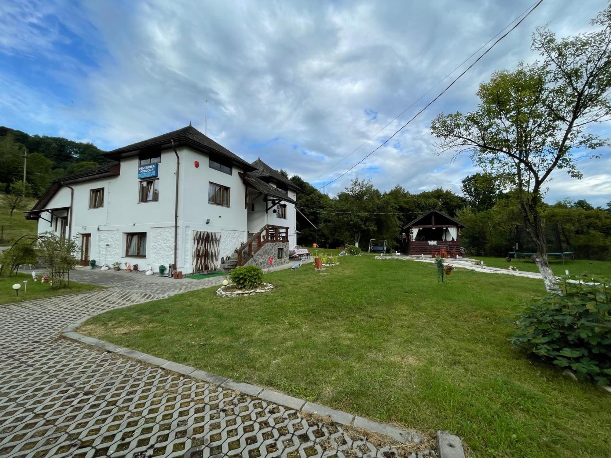 Pensiunea Nituca モイセイ エクステリア 写真